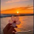 @hristolozanov