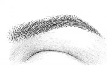 Pelo a pelo (recomendado para acabado natural)